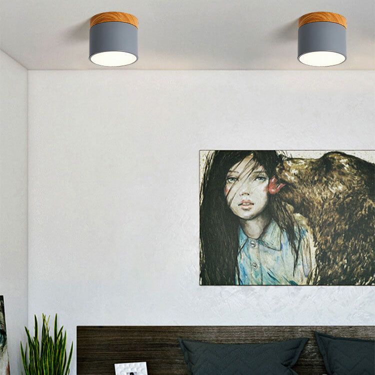 Skandinavisk LED Loftslampe