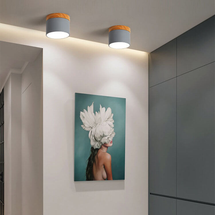 Skandinavisk LED Loftslampe