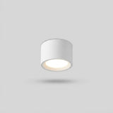 Nordisk Cylinder Spot LED Loftslampe