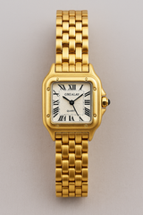 George | Luxurious Two-Tone Watch with Golden Details