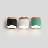 Skandinavisk LED Loftslampe