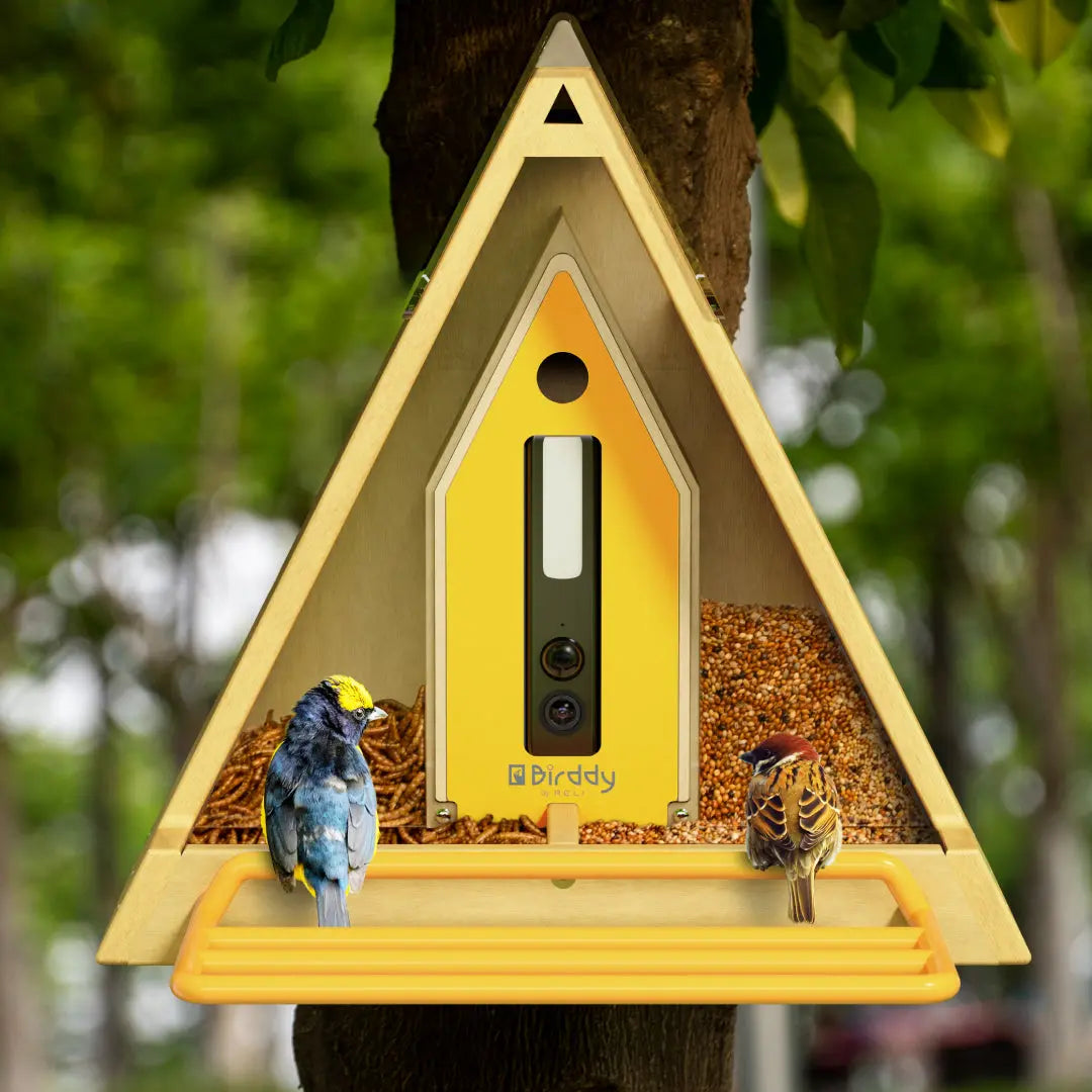 Reli Birddy Slim Feeder GreenTough™ | Smart Fuglefodring med Bæredygtigt Design - - house & garden - {{ product_tags }