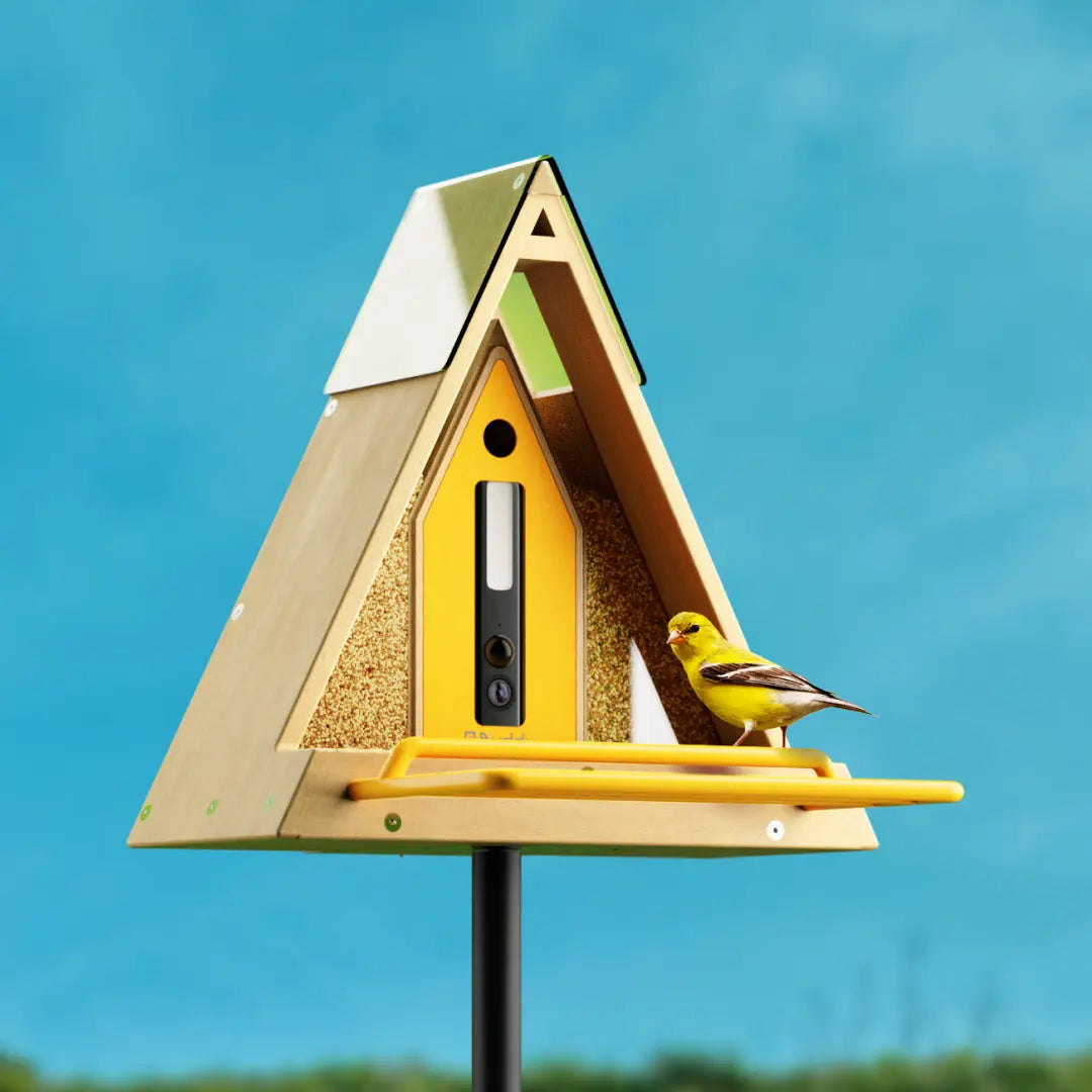 Reli Birddy Slim Feeder GreenTough™ | Smart Fuglefodring med Bæredygtigt Design - - house & garden - {{ product_tags }