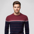 Calvin | Pulover premium de toamnă cu dungi, cald, elastic și cu stil perfect