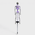 Solcelle-skelet Havespyd Lys - LED Halloween Havedekoration