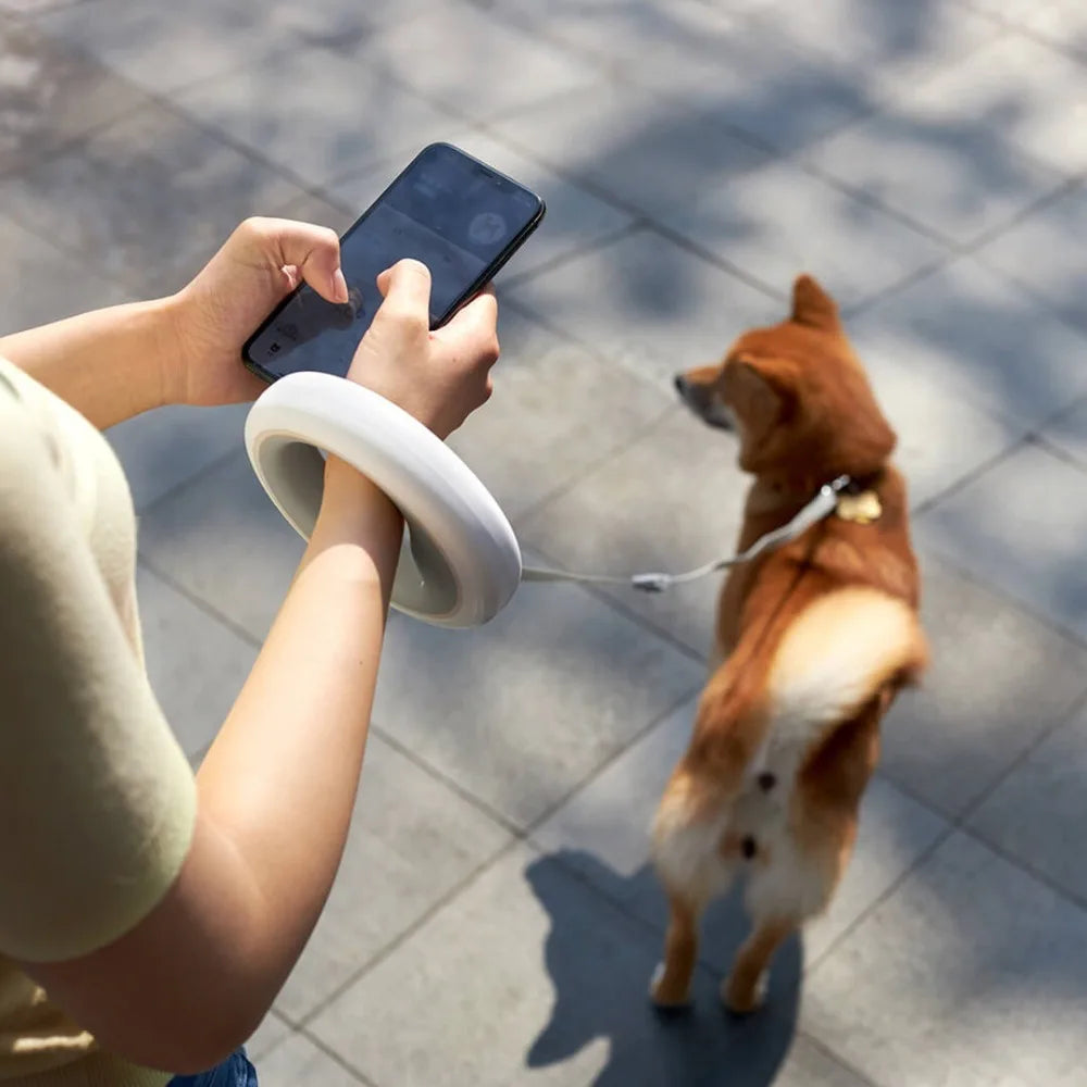 Rocky | Justerbart intelligent halsbånd - En forbedret gåturoplevelse for hunde - - other - {{ product_tags }