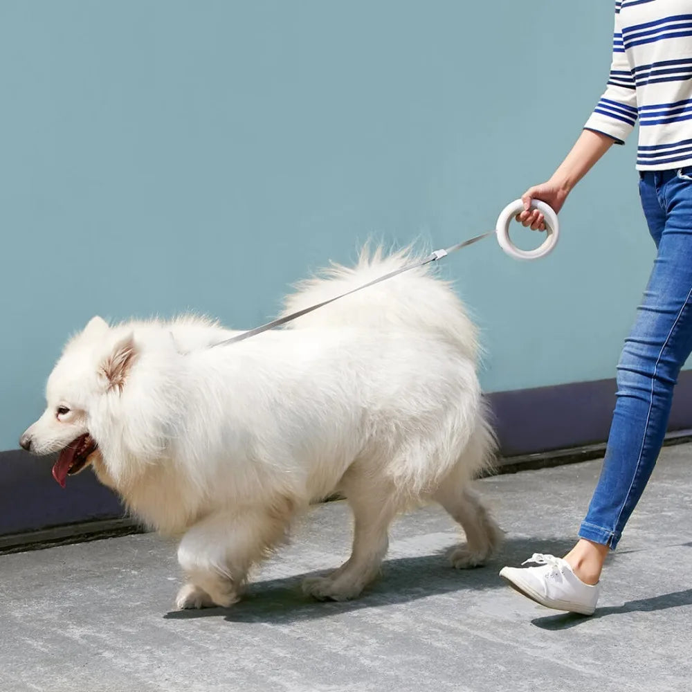Rocky | Justerbart intelligent halsbånd - En forbedret gåturoplevelse for hunde - - other - {{ product_tags }