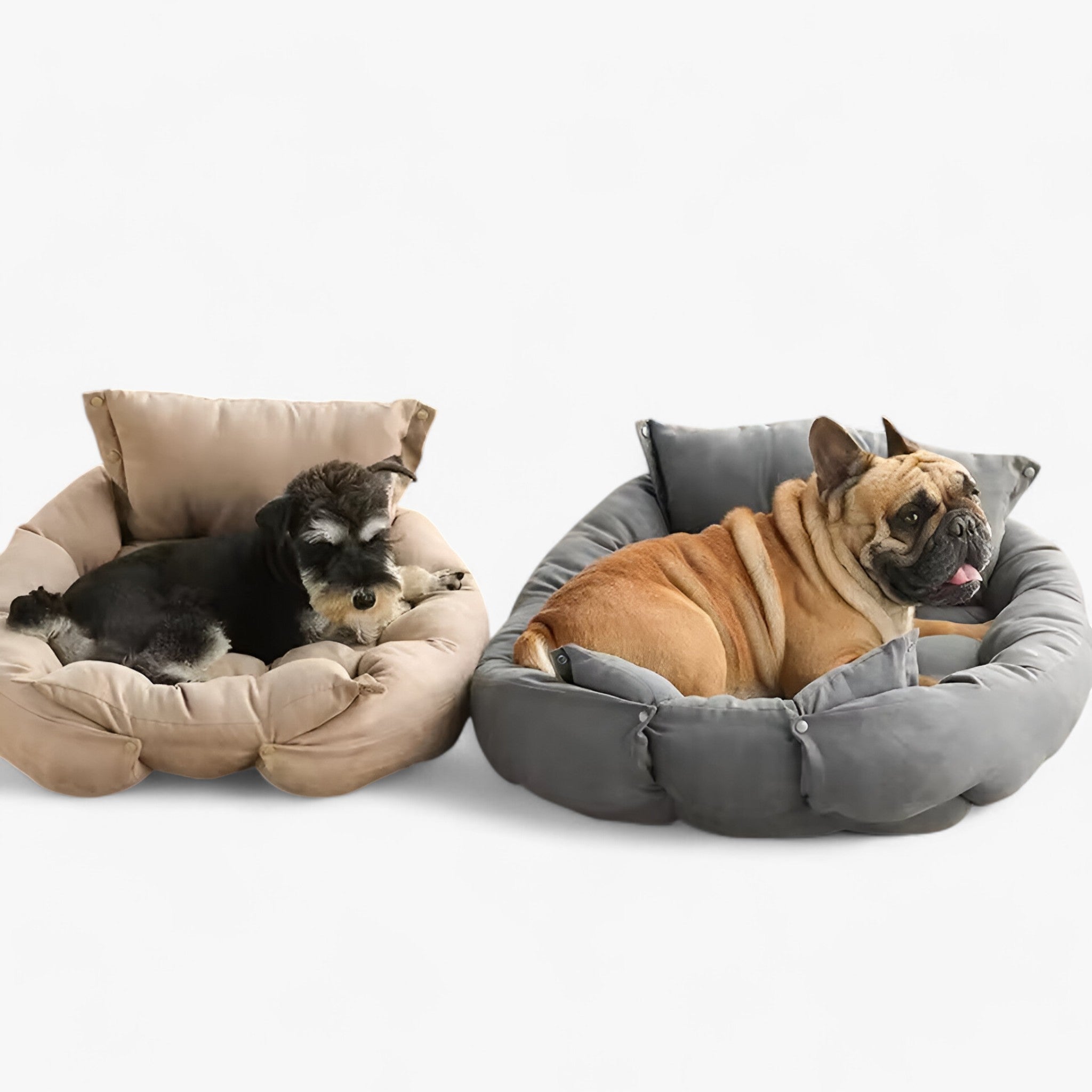 Buddy | 3-i-1 Multifunktionelt Husdyrseng til Hunde og Katte - - baby - {{ product_tags }