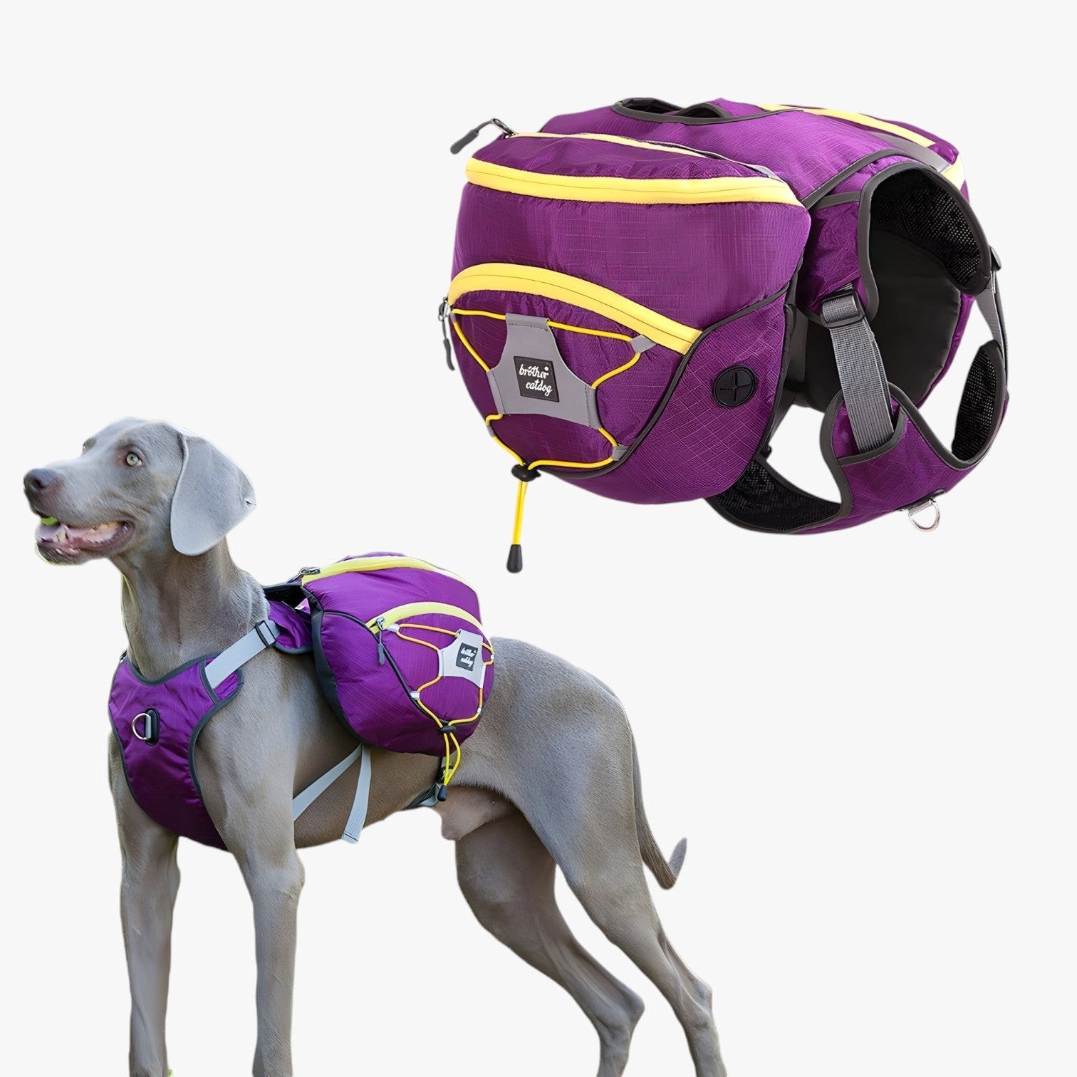 Westie| Reflekterende hunderugtas med aftagelige lommer - - other - {{ product_tags }