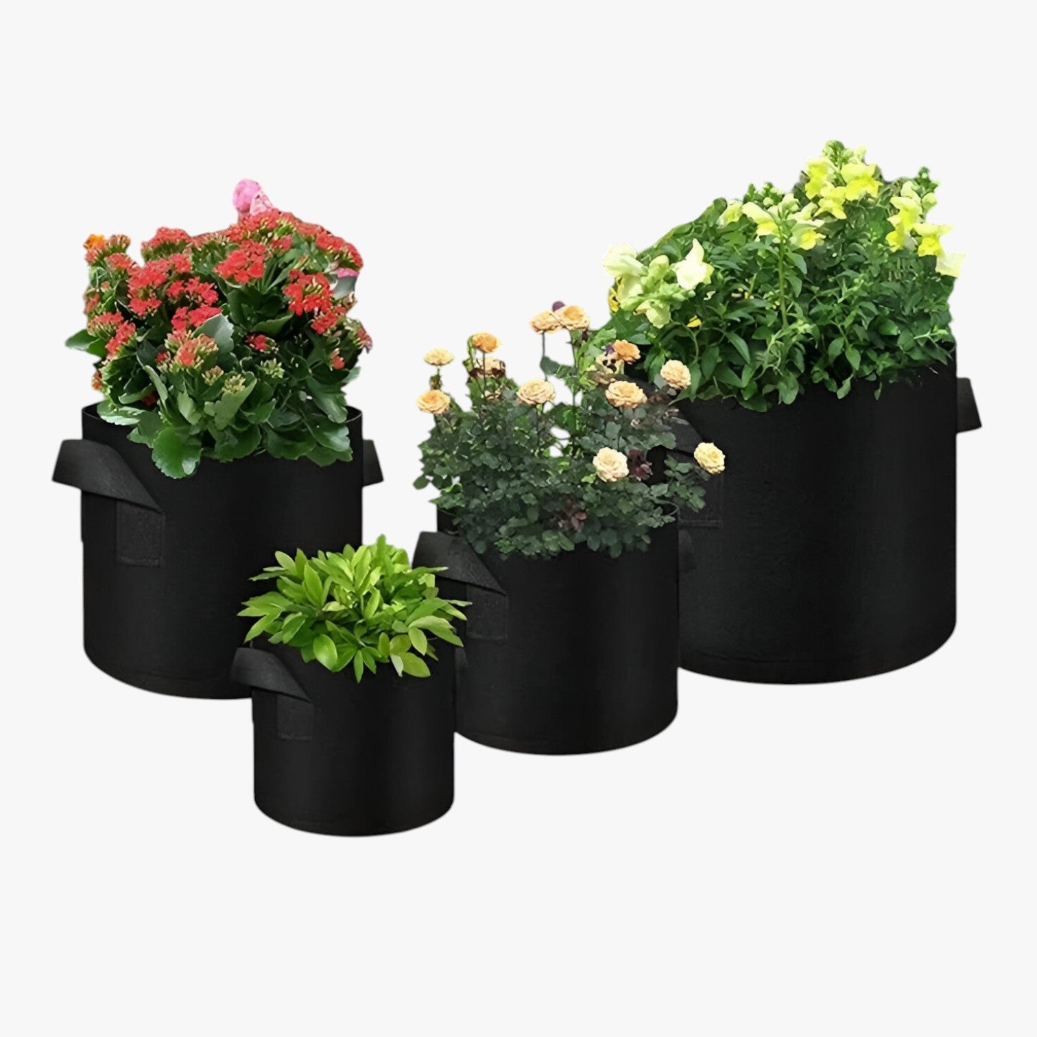 Genalyn | Pladsbesparende dyrkningspose – Sundere planter, nemme at dyrke - - house & garden - {{ product_tags }