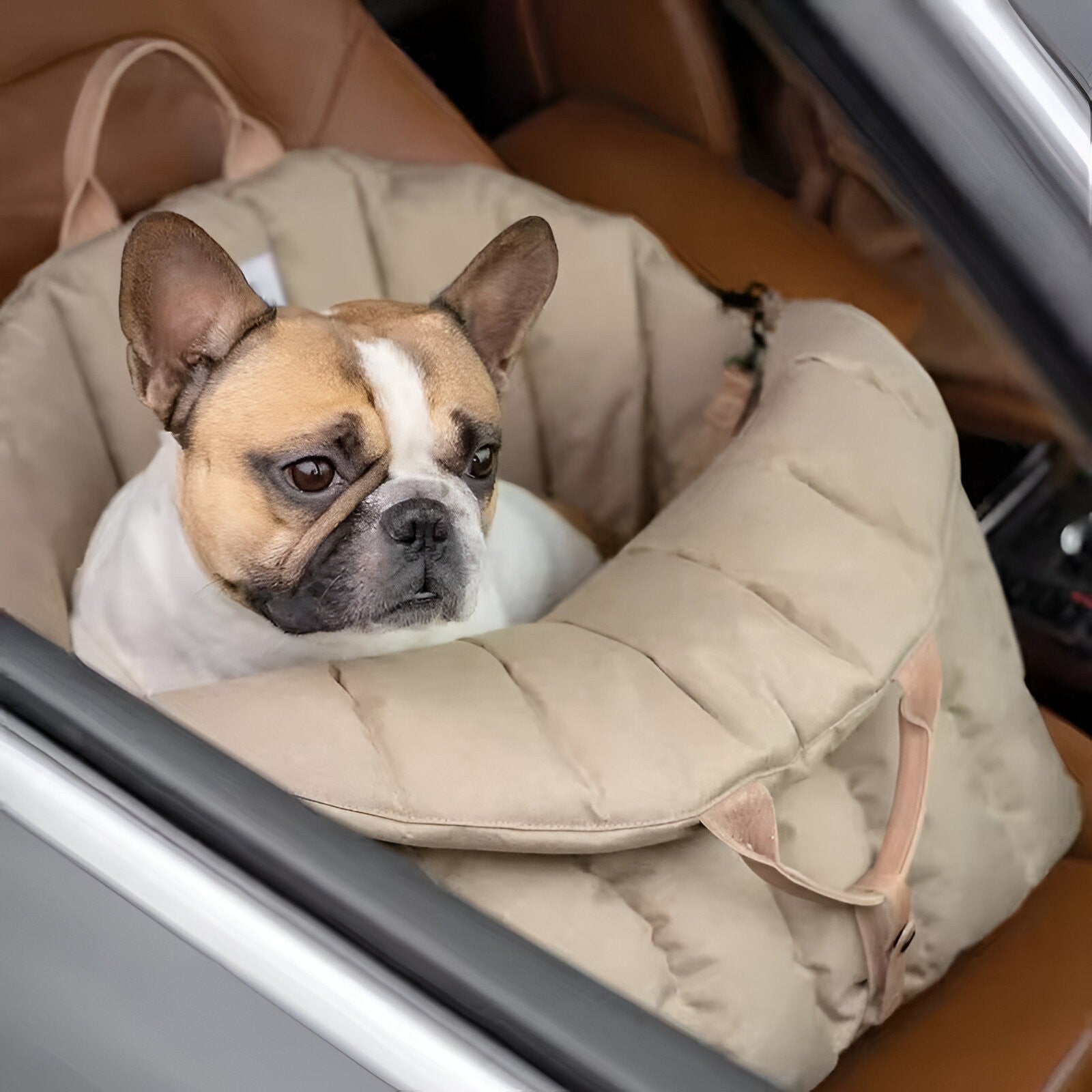 Mila | Luksus og Varm Hundetransporttaske til Rejser - - baby - {{ product_tags }