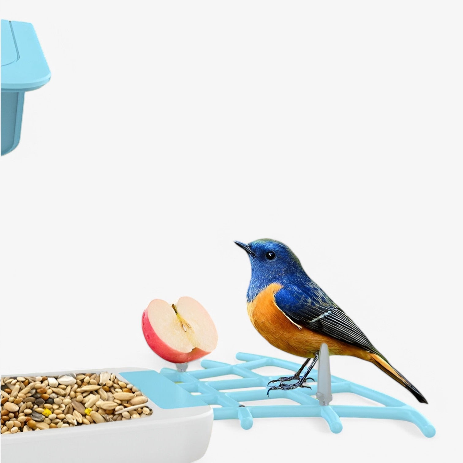 Levin | Sikkerhed & Fugleglæde – Solenergi-kamera med fodringsskål til fugle - - house & garden - {{ product_tags }