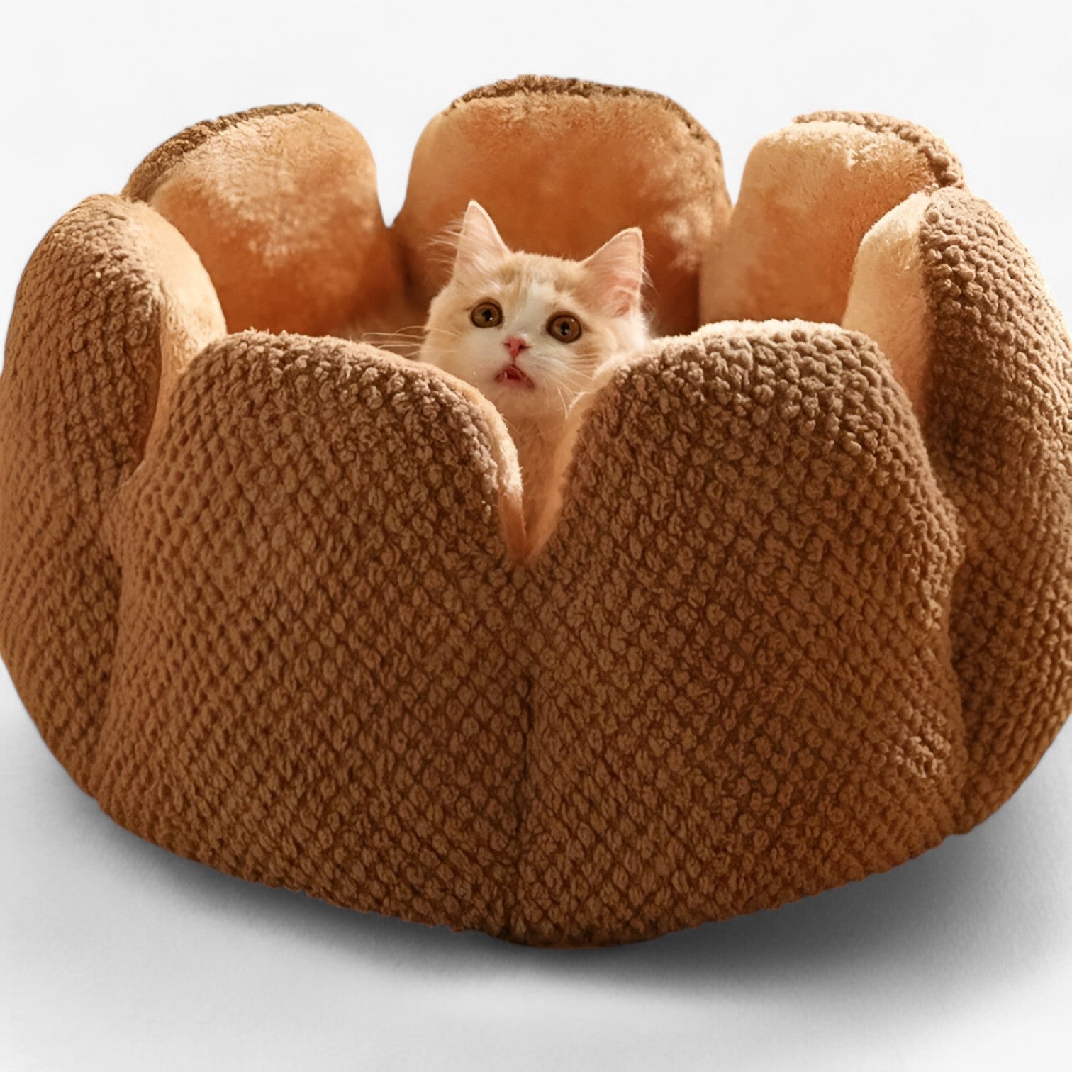 Addie | Blød Bloemhuis – Varm & Hyggelig for Katte og Hvalpe - - baby - {{ product_tags }