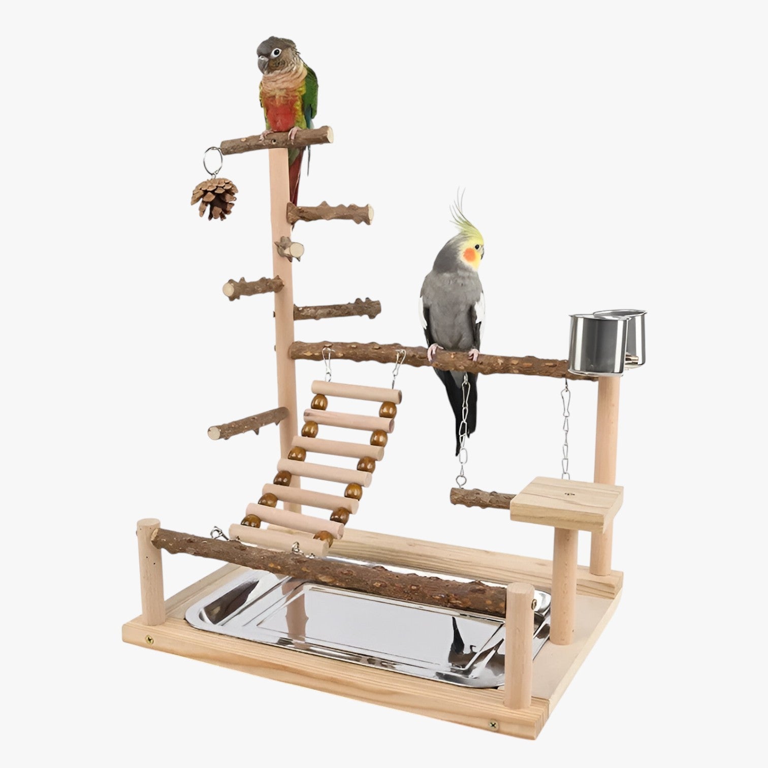Jodi | Klimnet og Spilleplatform for Aktive Fugle - - other - {{ product_tags }
