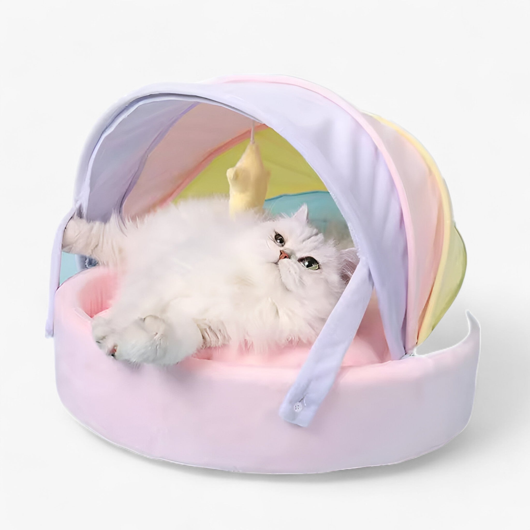PuffyPaws™ | Regenbue Kattenseng - Komfort og Varme til Dit Kæledyr - - baby - {{ product_tags }