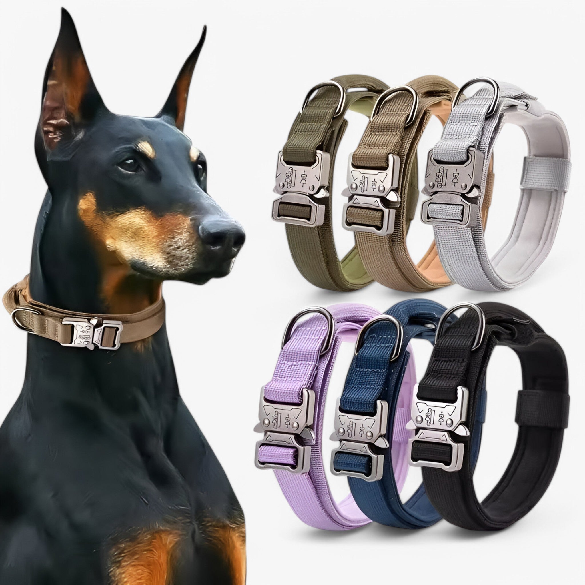 Maximus | Holdbart taktisk hundehalsbåndssæt - - other - {{ product_tags }