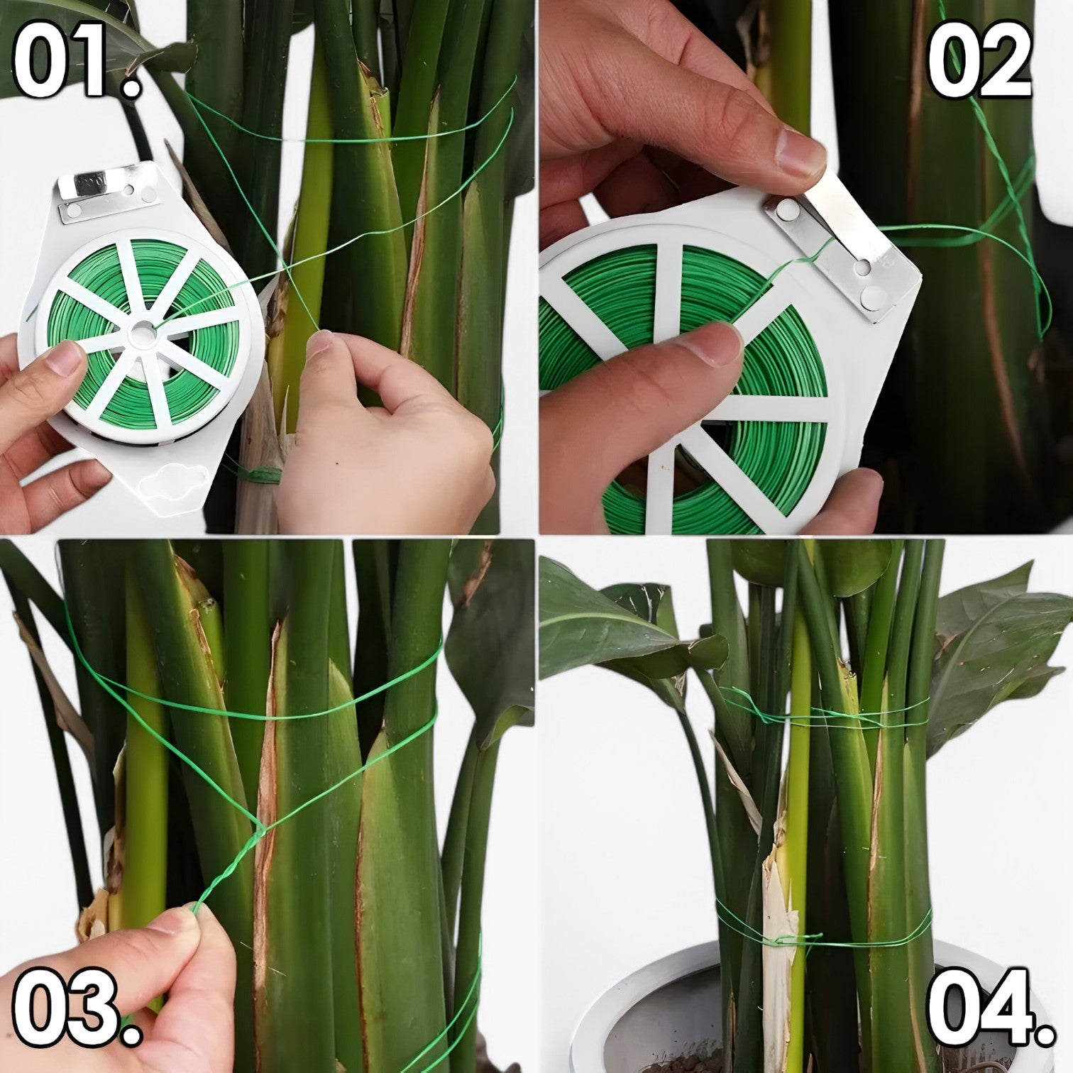 Dariel | Haveplante Tråd med Skæreværktøj til Støtte - - house & garden - {{ product_tags }