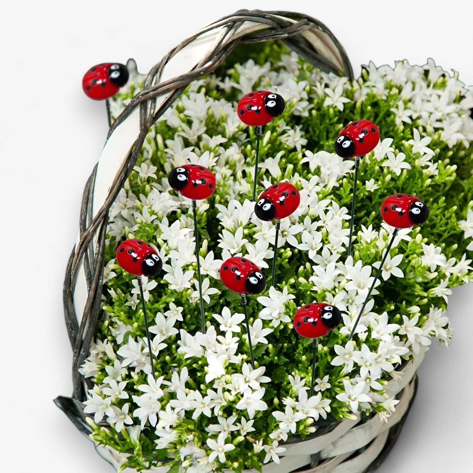 Bella | Mariehøne Havepind Sæt 10 Stykker - - house & garden - {{ product_tags }