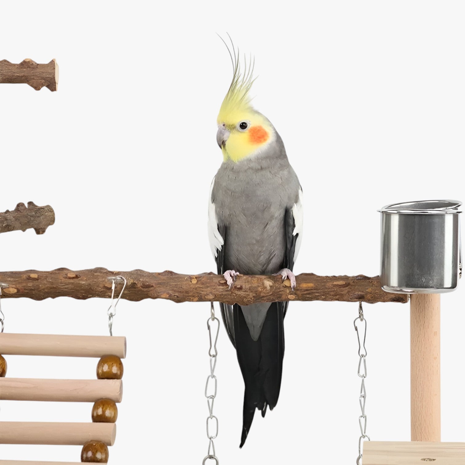 Jodi | Klimnet og Spilleplatform for Aktive Fugle - - other - {{ product_tags }