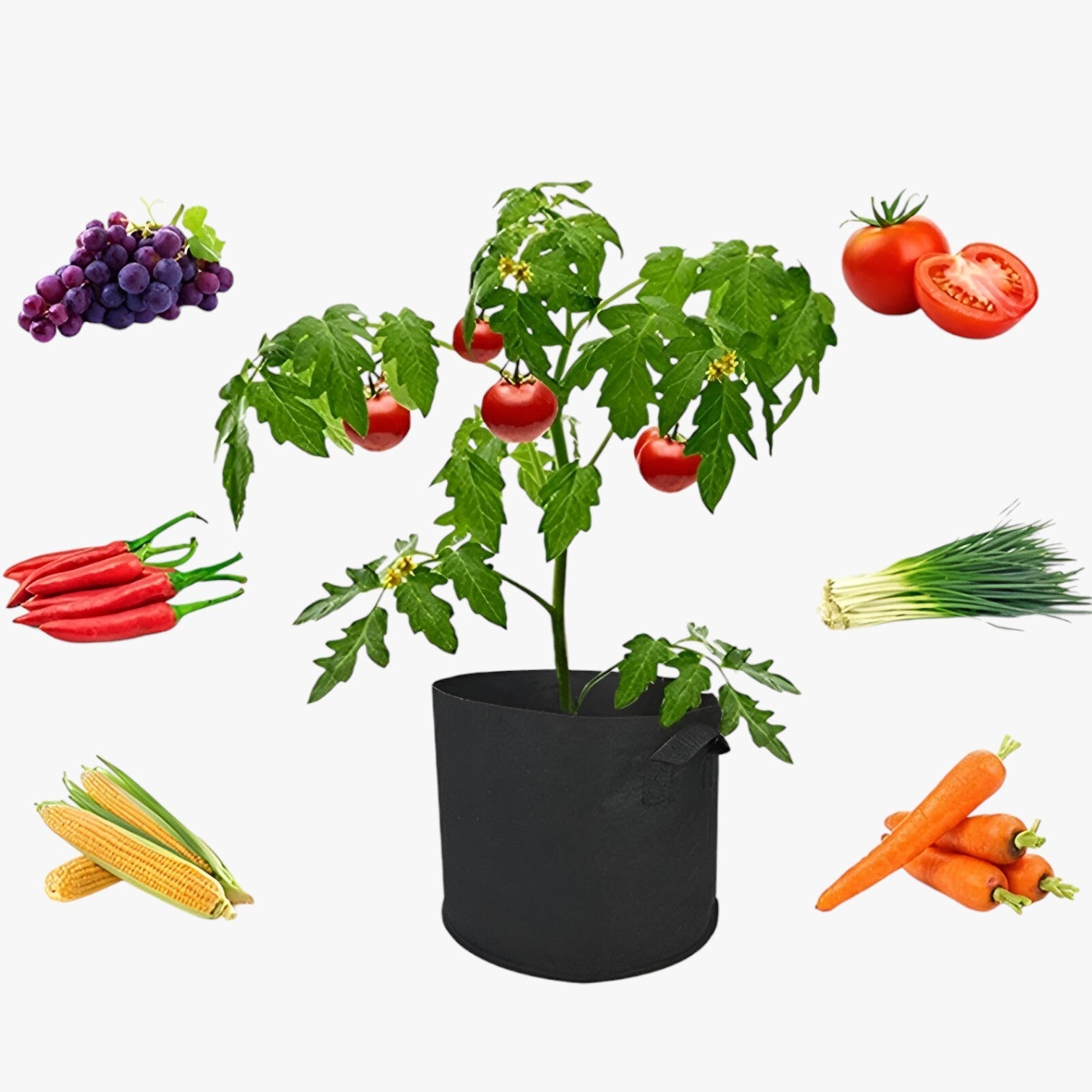 Genalyn | Pladsbesparende dyrkningspose – Sundere planter, nemme at dyrke - - house & garden - {{ product_tags }