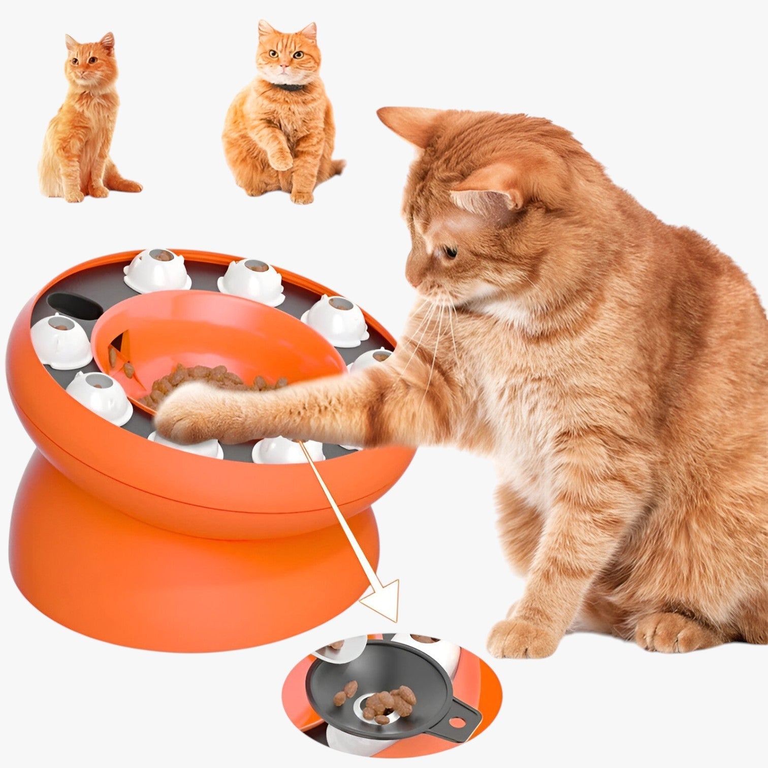 Matthew | Skål Puzzle Skrå til Katte Langsom og Sjov Madspisning - - other - {{ product_tags }