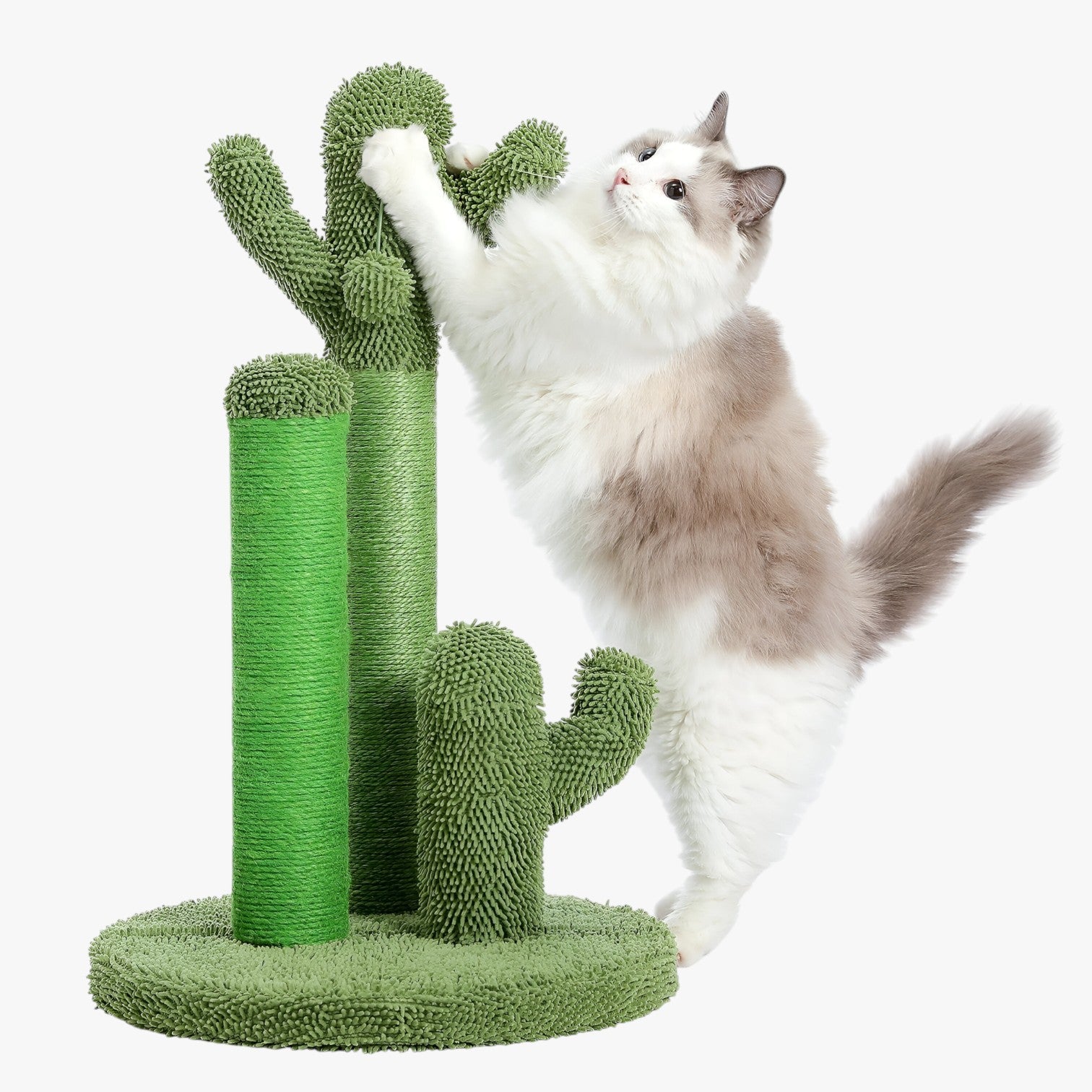 Mitzy | Kaktus Scratch Fun Interaktiv Kradsebræt med 3 Pæle og Hängende Bold - AMT0066GN - other - {{ product_tags }