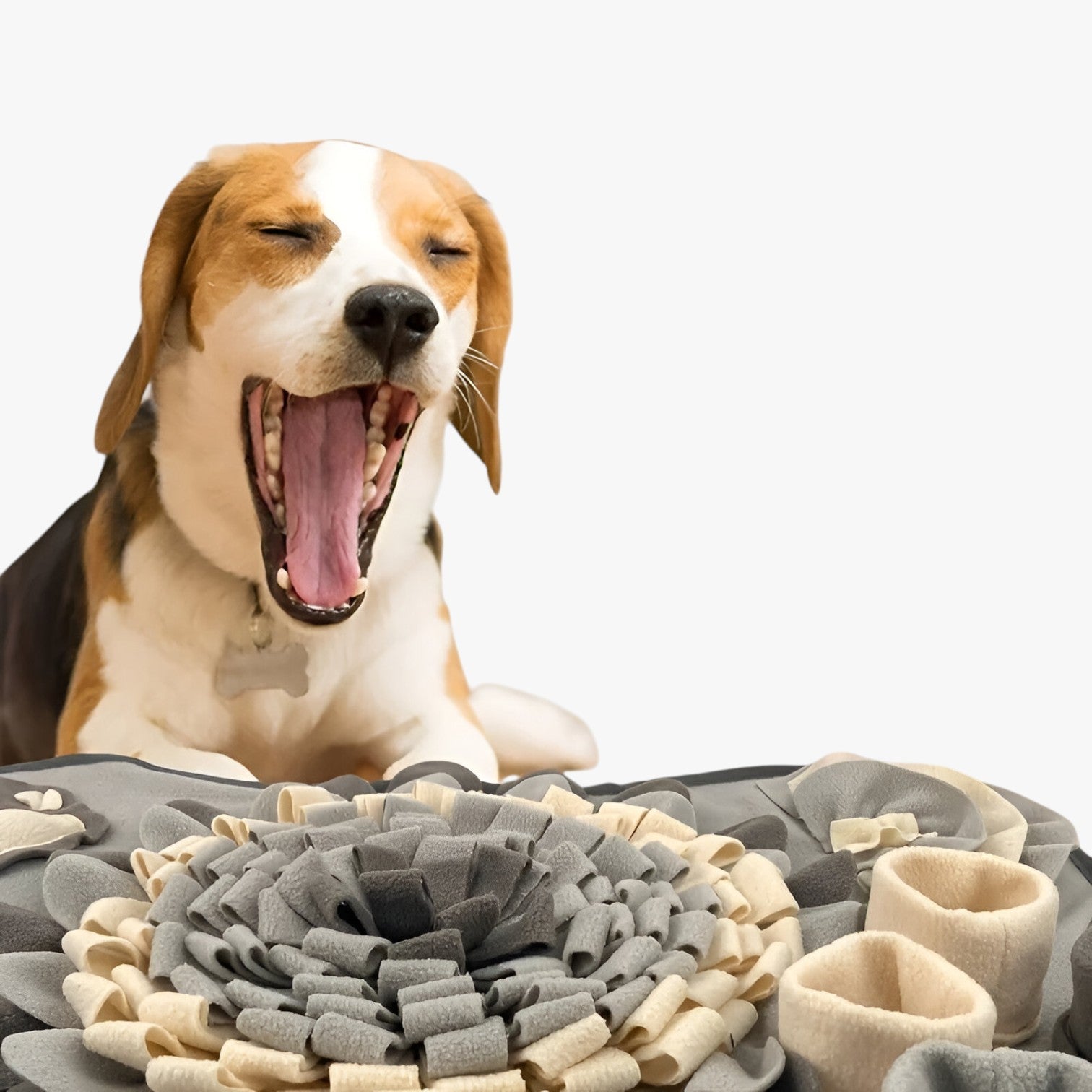 Sparky | Interaktiv Snusemåtte til Hunde - - other - {{ product_tags }