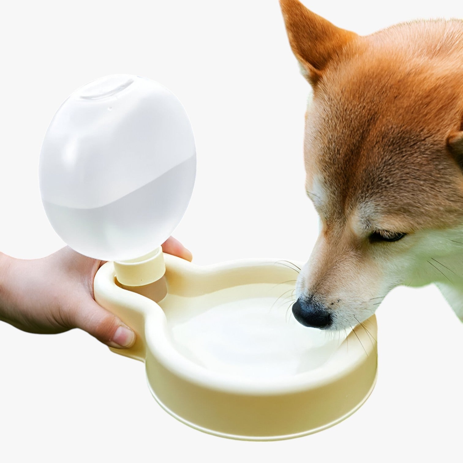Kinsley | Bærbar vandflaske til hunde – Hydrering på farten - - other - {{ product_tags }