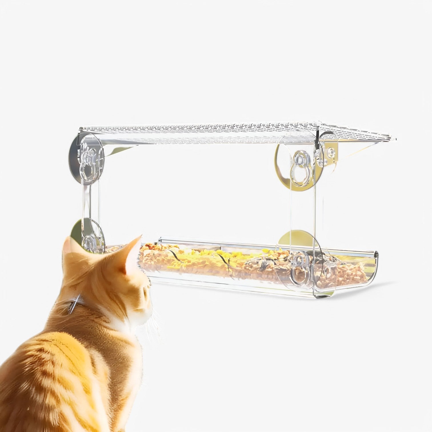 Nadia | Transparent Fuglehus – Nyd fugle tæt på i din have - - house & garden - {{ product_tags }