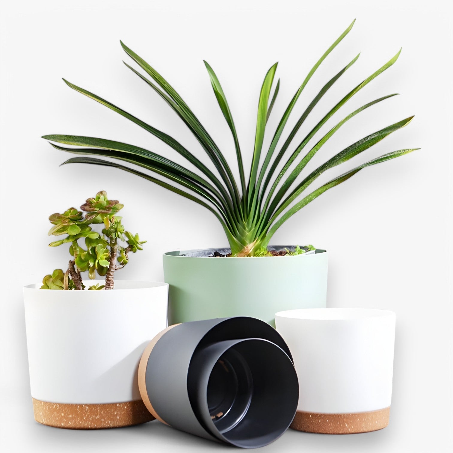 Amancio | Stilsikker plastikkrukke – med dræning for sund vækst - - house & garden - {{ product_tags }