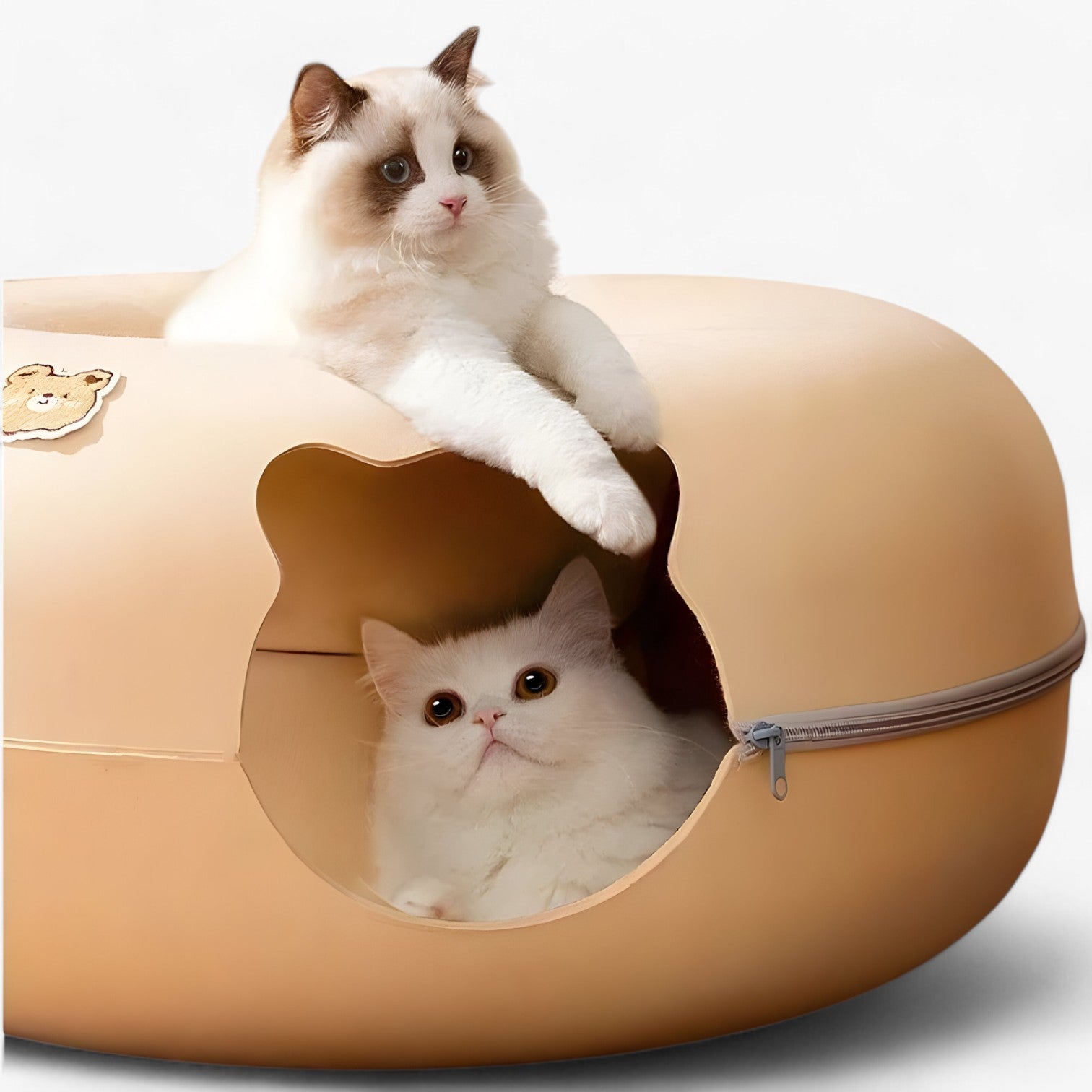 Maggie | Skønt interaktivt kattebed: lege, slappe af og opdage - - other - {{ product_tags }