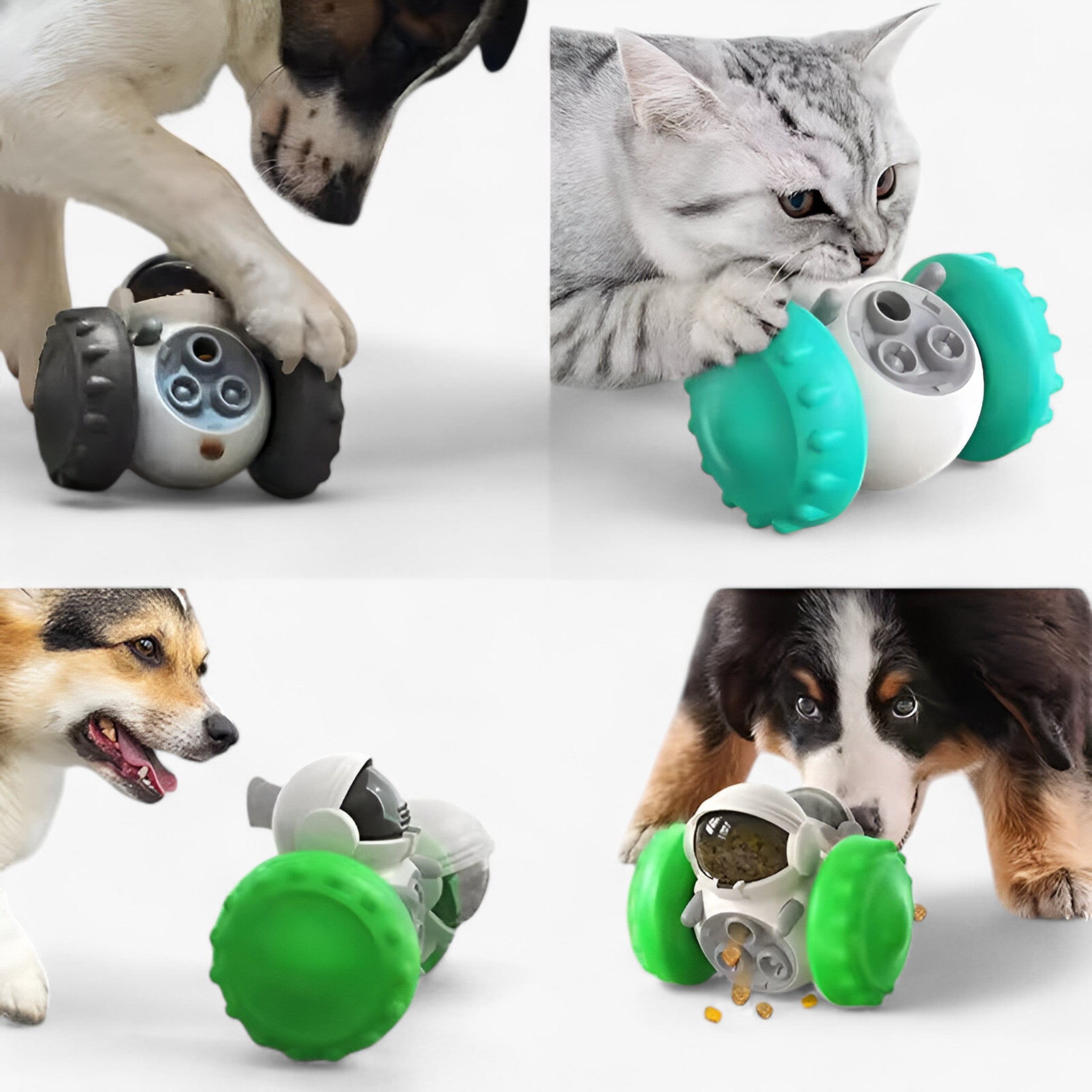 Buddy | Interaktiv Foderautomat Legetøj til Hunde og Katte - - other - {{ product_tags }