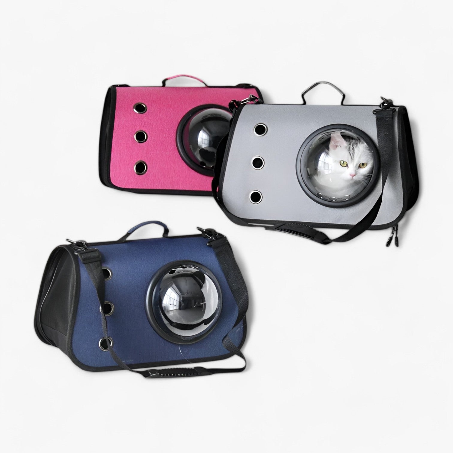 Zoë | Gennemsigtig Åndbar Kattetransporttaske til Rejse - - other - {{ product_tags }