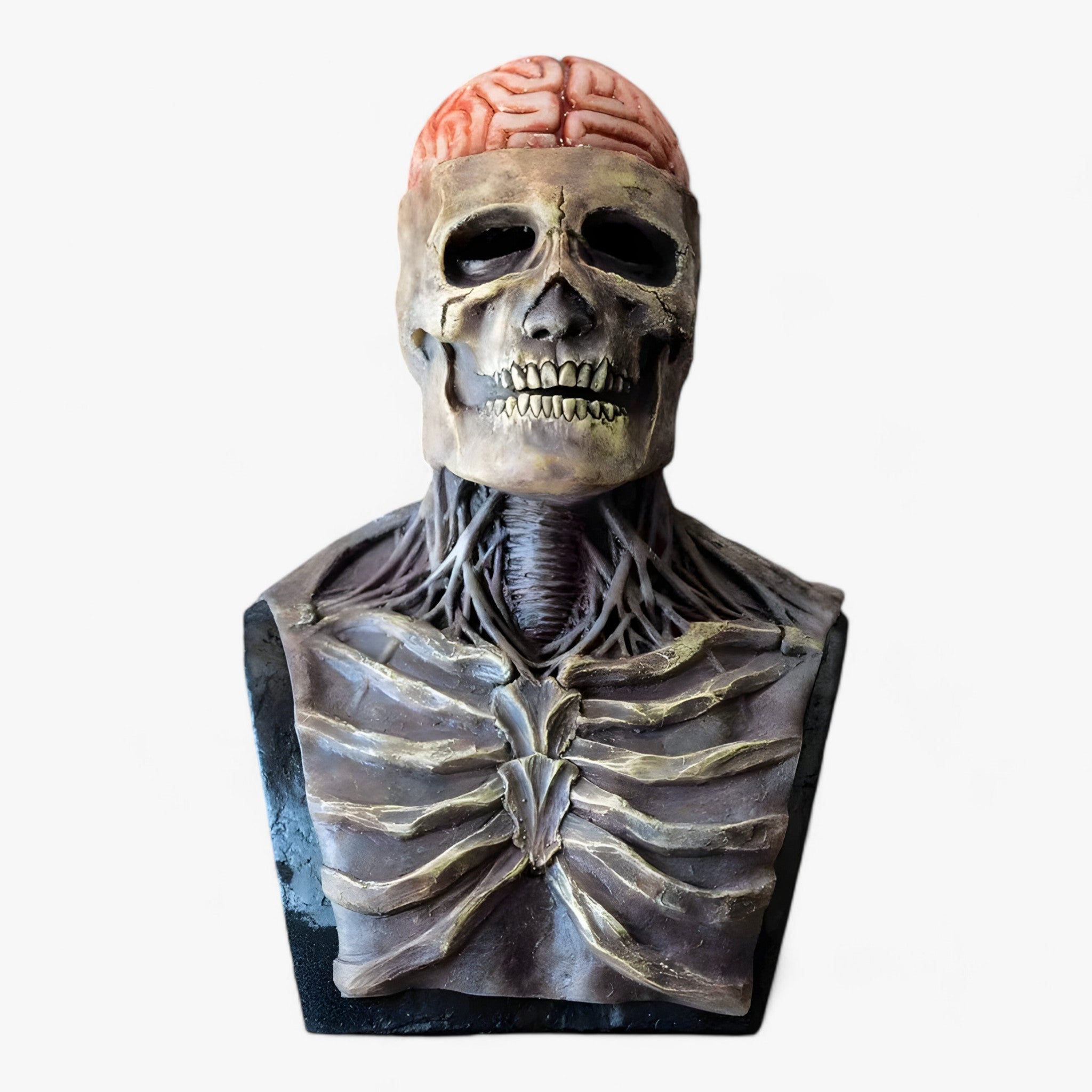 Victor | Latex hovedskeletmaske Halloween - skeletteffekt til udklædning og dekoration - - other - {{ product_tags }
