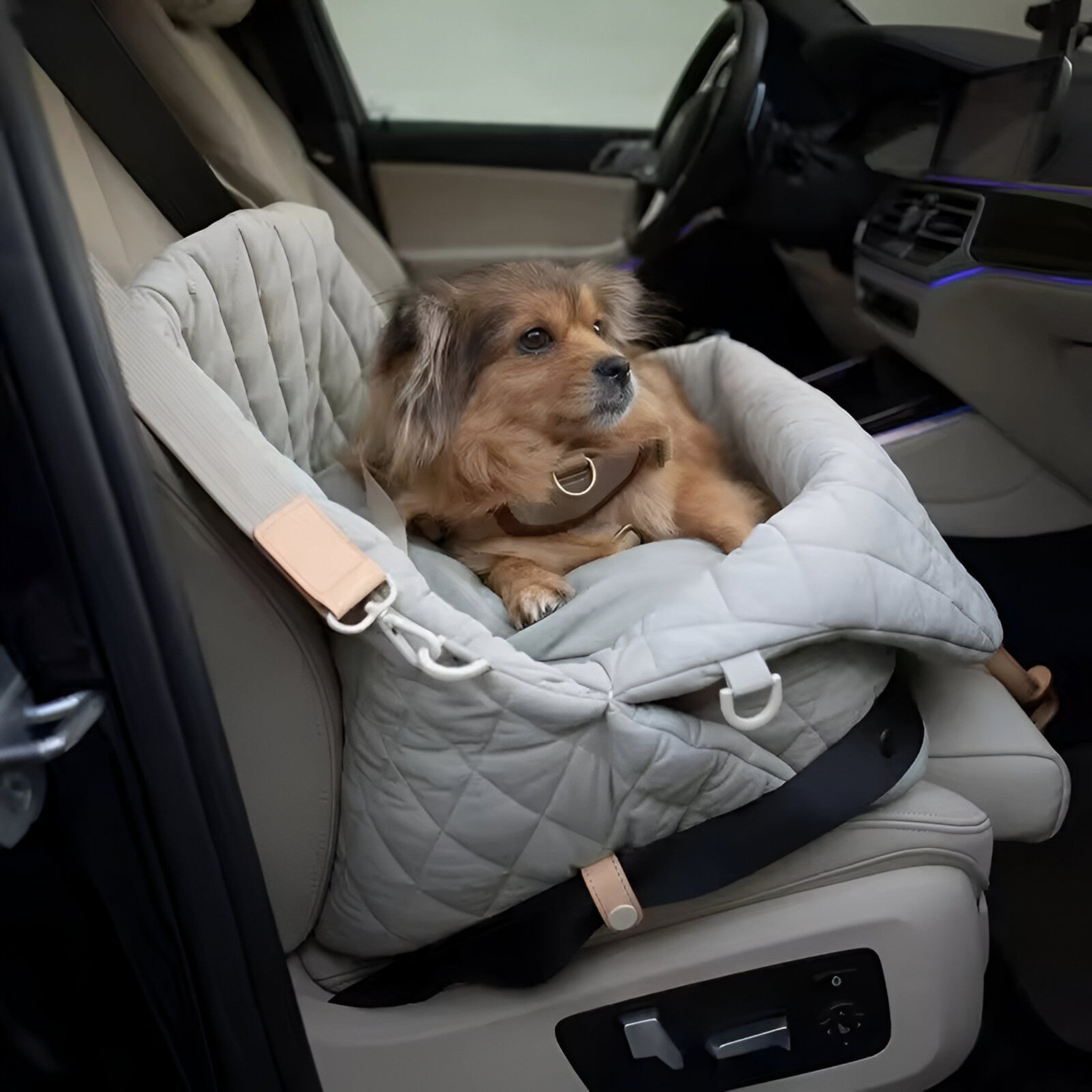 Luna | Sikker og Komfortabel Bilstol til Små Hunde - - other - {{ product_tags }
