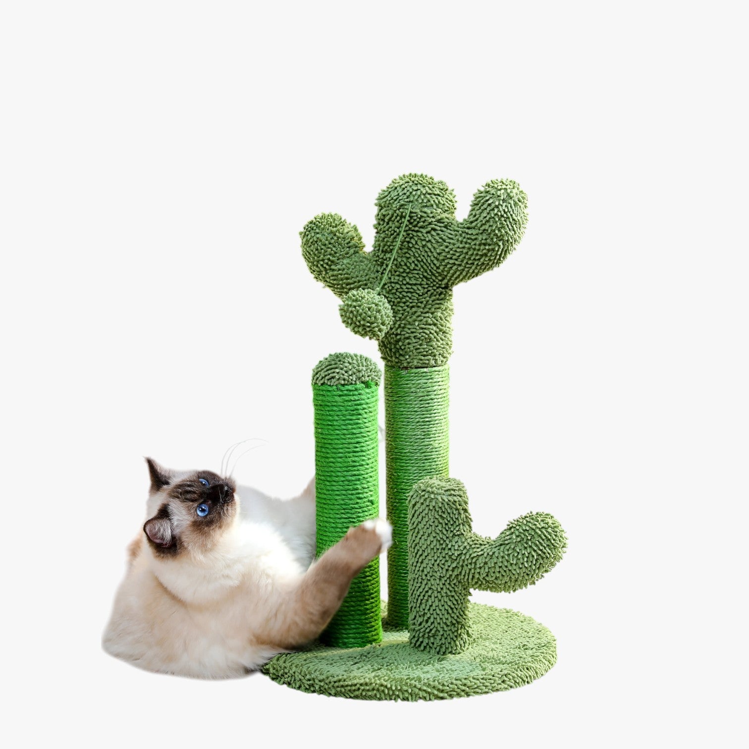 Mitzy | Kaktus Scratch Fun Interaktiv Kradsebræt med 3 Pæle og Hängende Bold - - other - {{ product_tags }