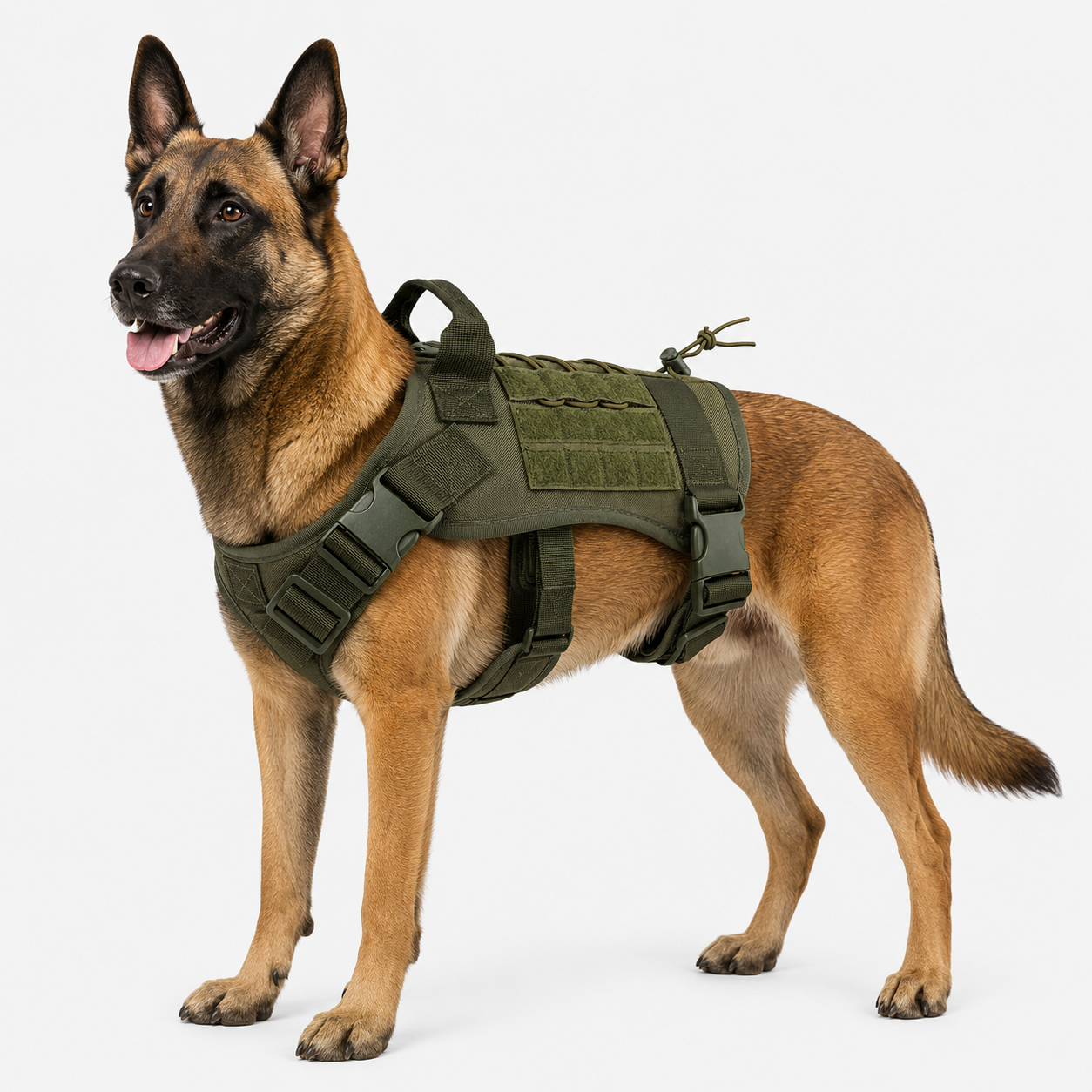 Bernado | Taktisk Hundesele i Polyester med Håndtag og Justerbare Stropper - - other - {{ product_tags }