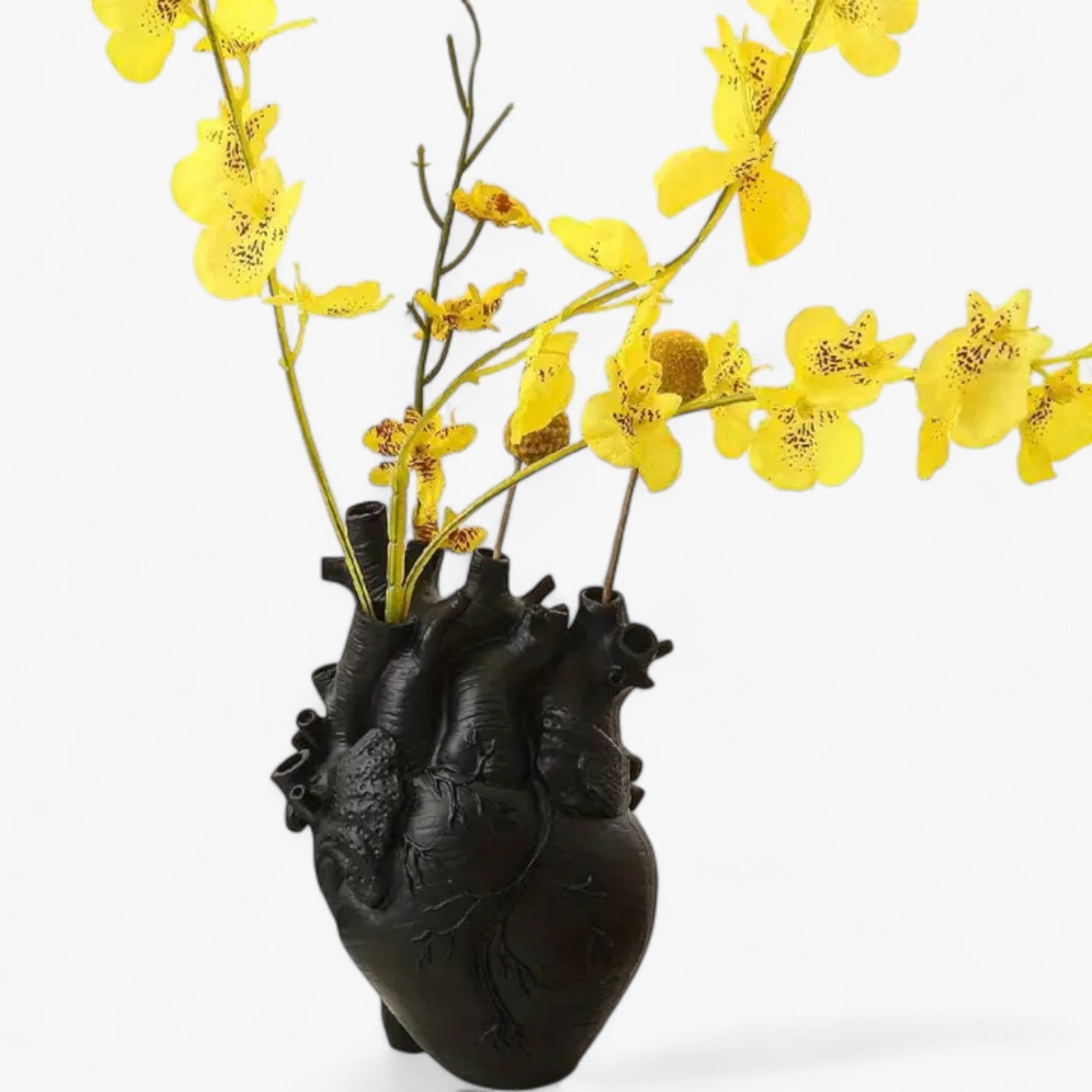 Aric - Vaso Hart i forskellige farver - - house & garden - {{ product_tags }