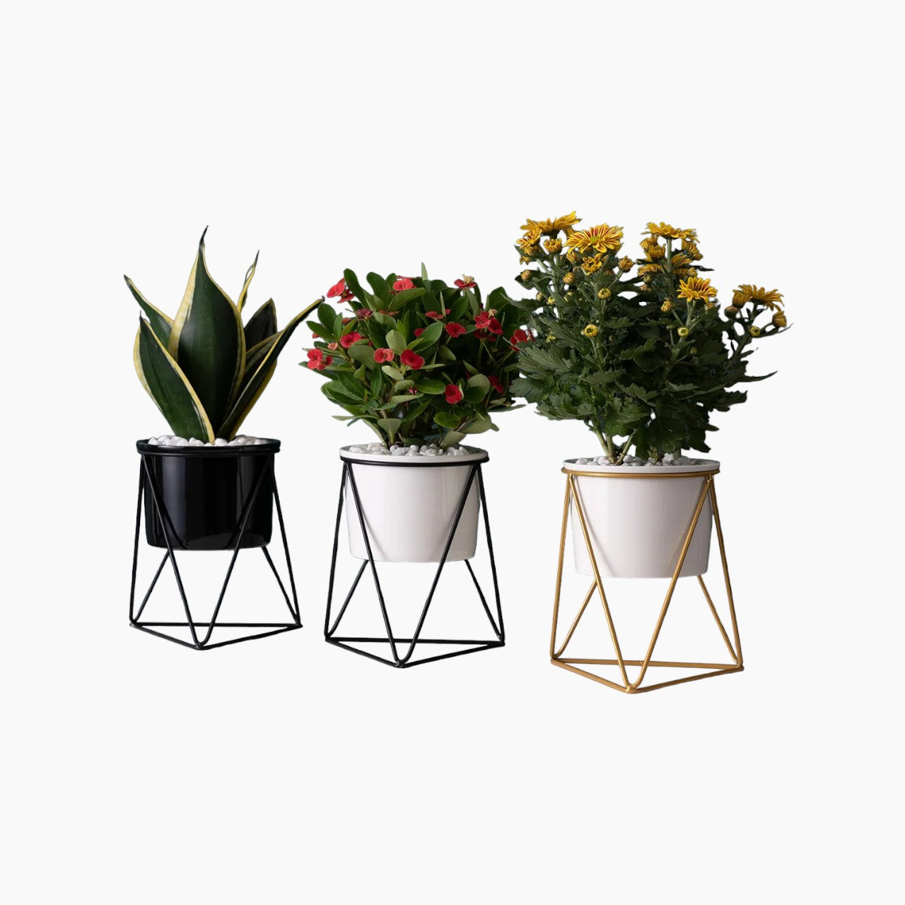 Keramikblomsterkrukke med jernstativ | Moderne overtop til luftpudser og sukkulenter - - house & garden - {{ product_tags }