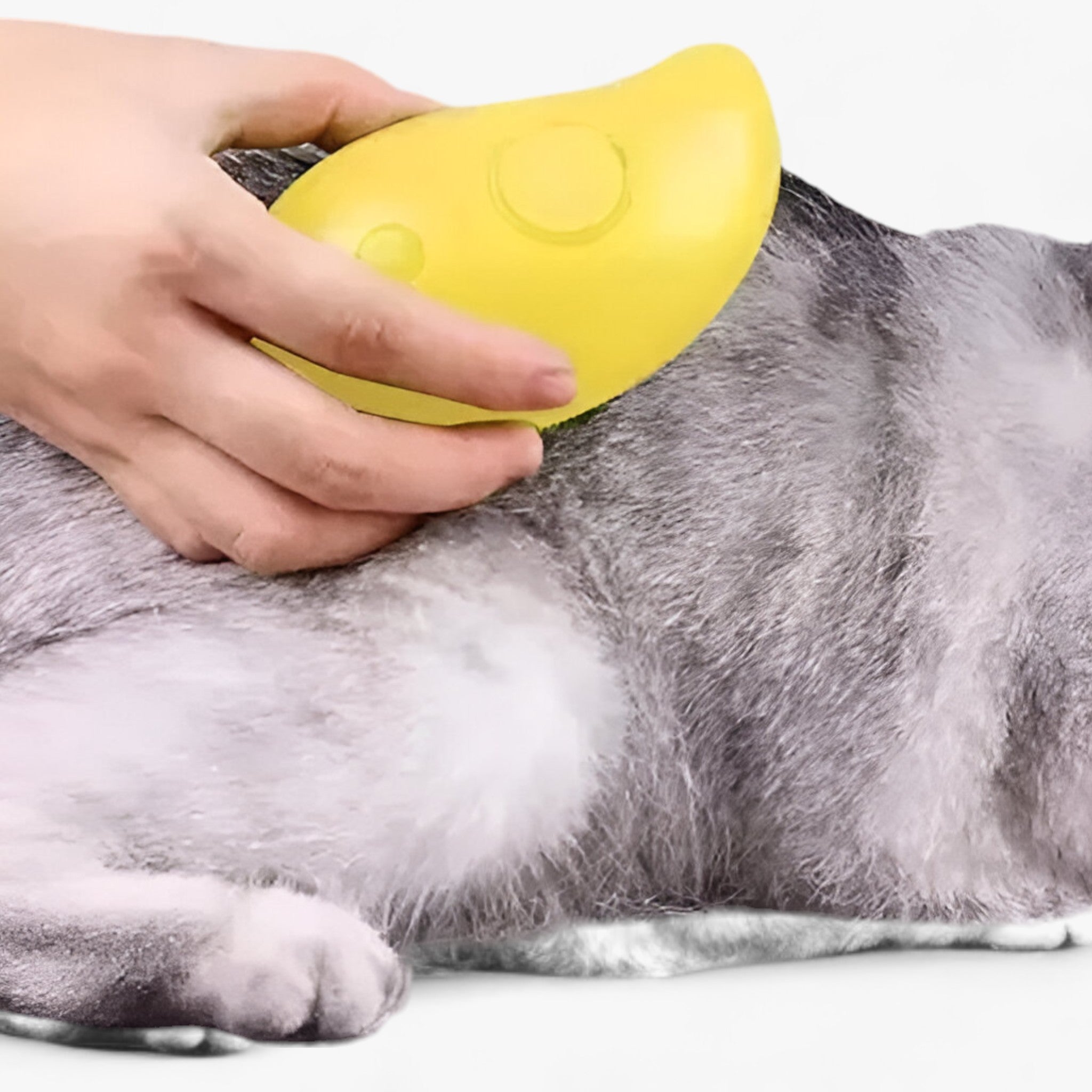 PET | Alt-i-én kæledyrsplejeværktøj - Forbedrer plejen med damp og massage - - other - {{ product_tags }