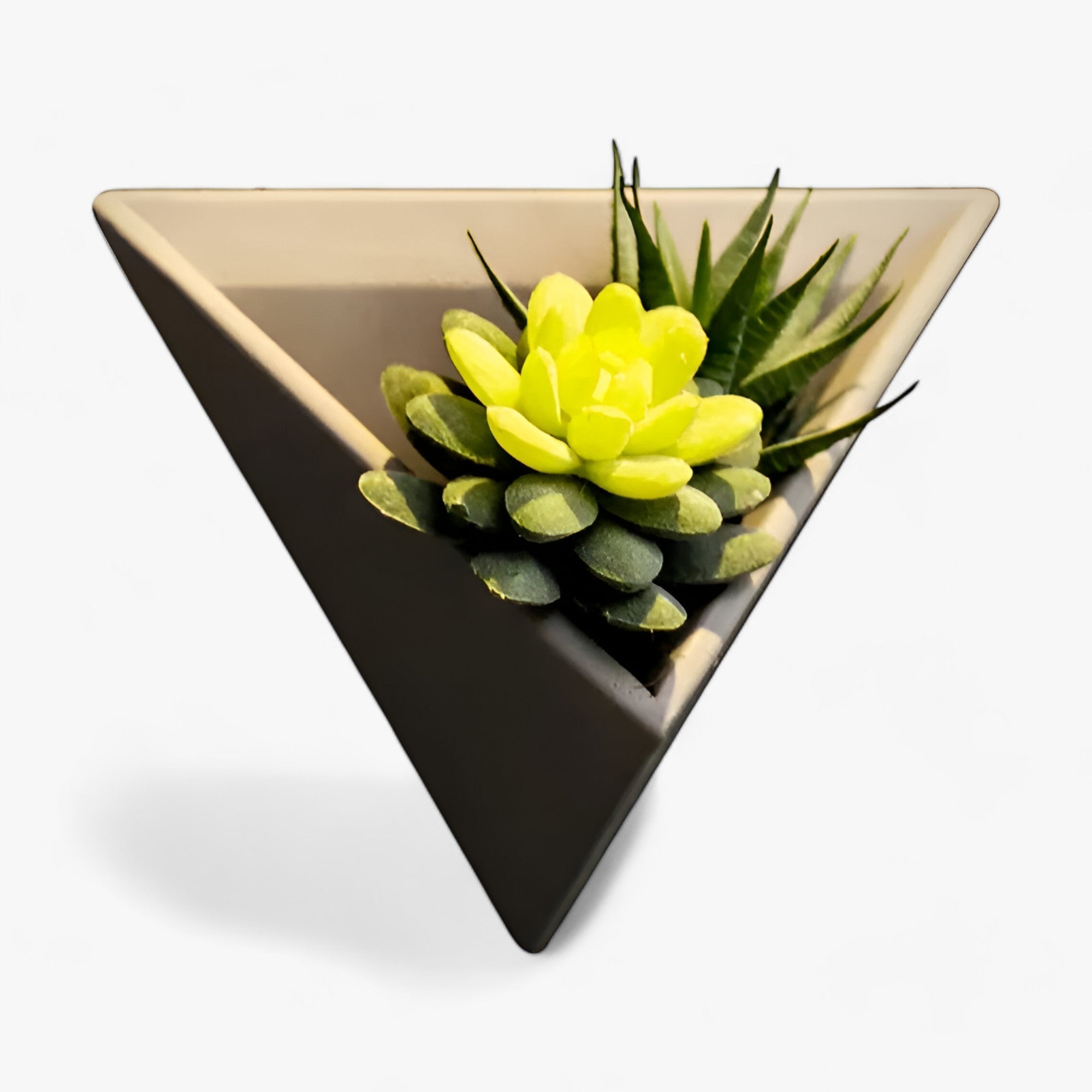 GeoBlüte | Væggartnerholder - Stilfuld indretning til rummet - - house & garden - {{ product_tags }