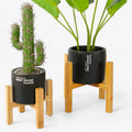 Bonsai-lycka | Træplanteholder - Bestående elegance