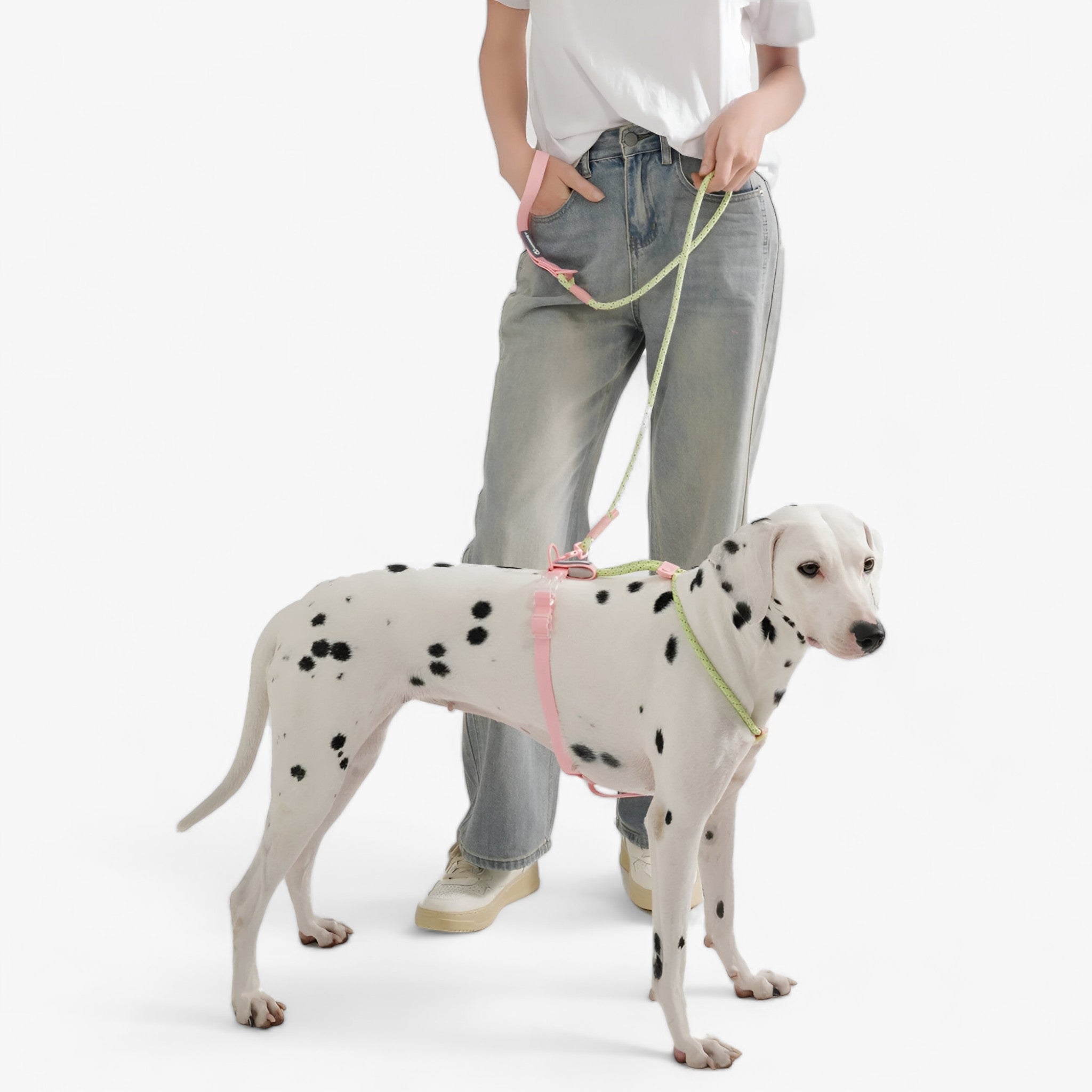 PAWFECT PALS | Hundehalsbåndsæt - Slående design med holdbar PVC - - other - {{ product_tags }