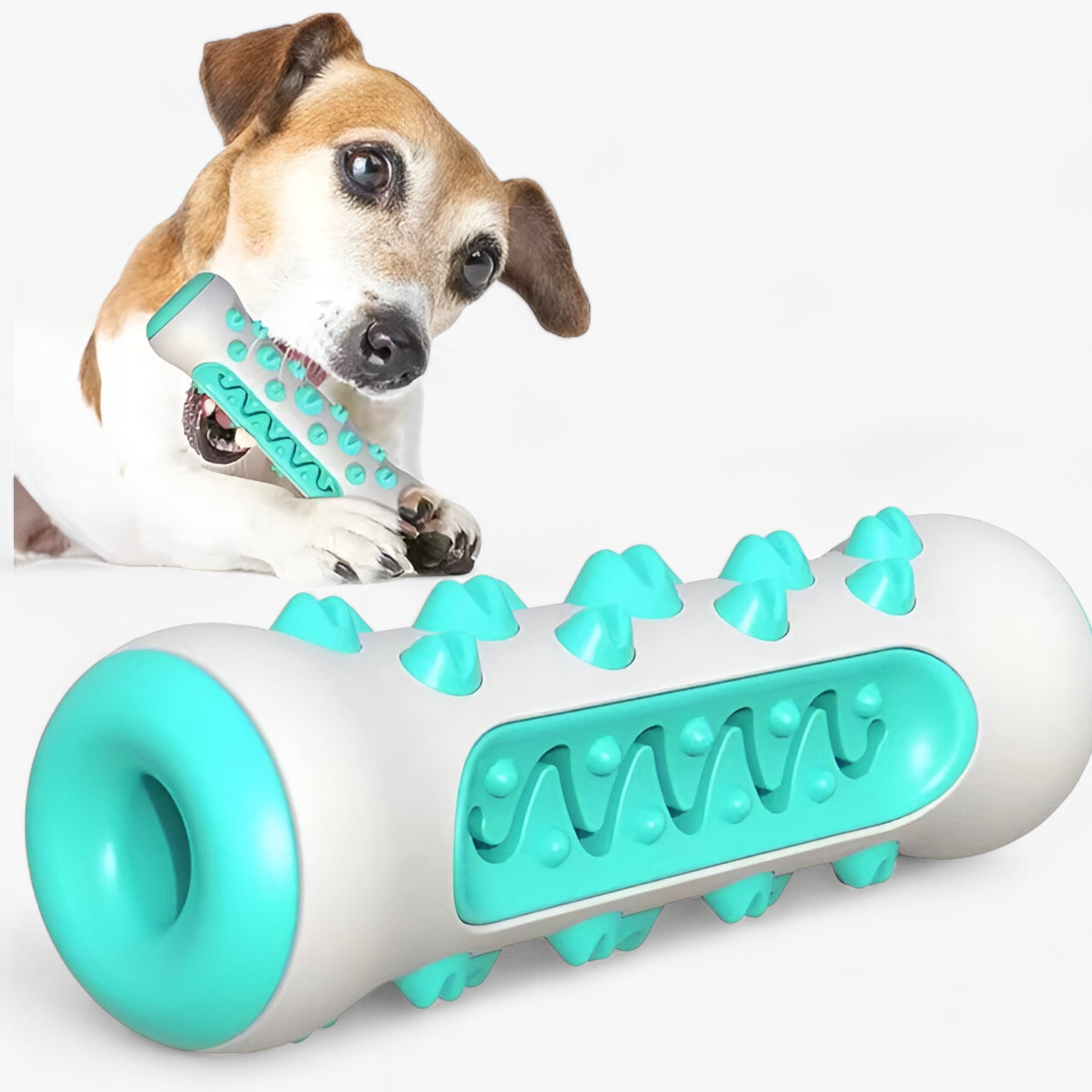 Rocky | Gummilegetøjet - Rengør tænderne og plejer hunde - Ny Blå - other - {{ product_tags }