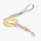 PAWFECT PALS | Dog collar set - Striking design with durable PVC