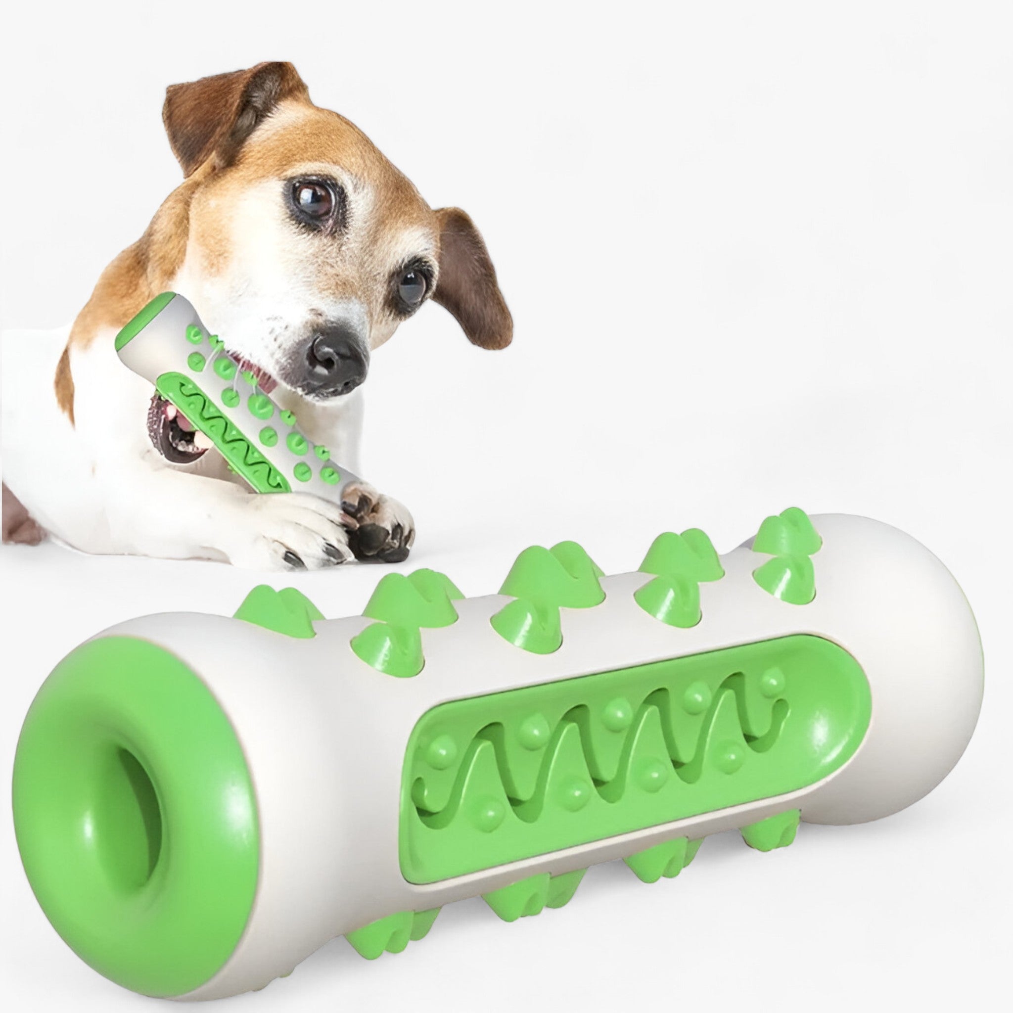 Rocky | Gummilegetøjet - Rengør tænderne og plejer hunde - - other - {{ product_tags }