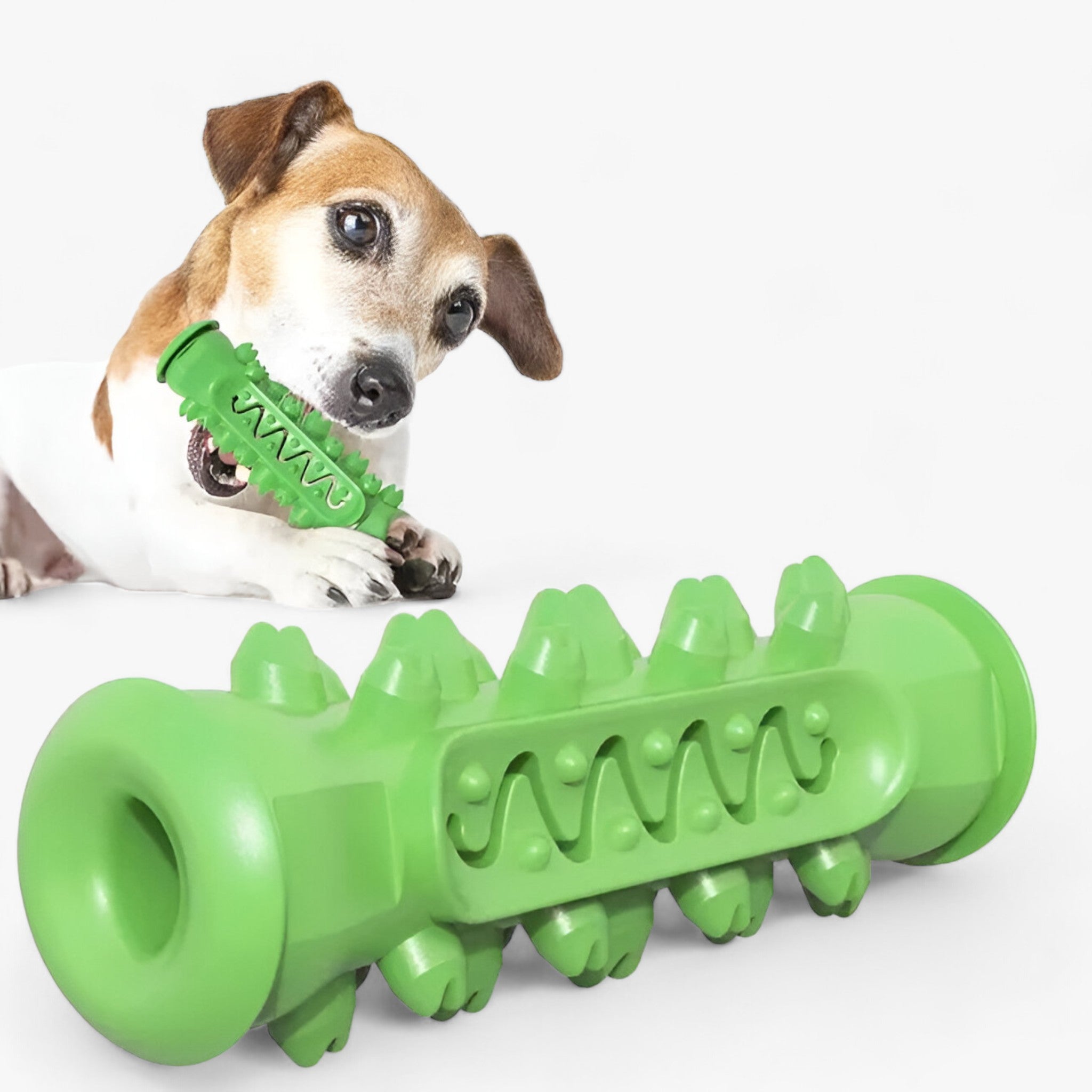 Rocky | Gummilegetøjet - Rengør tænderne og plejer hunde - Grøn - other - {{ product_tags }